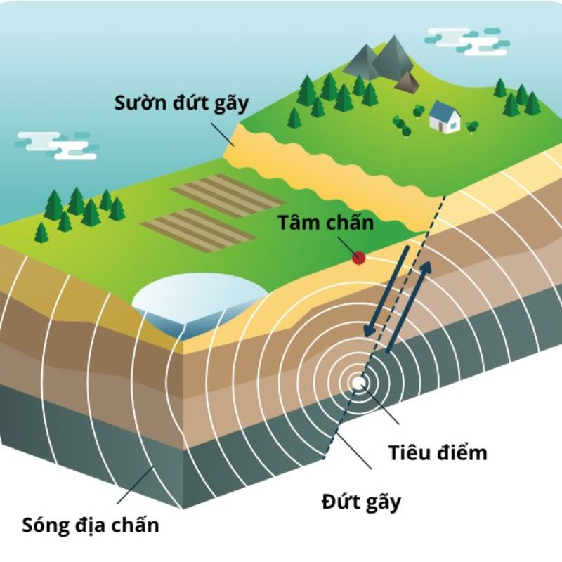 Nguyên nhân gây ra hiện tượng động đất