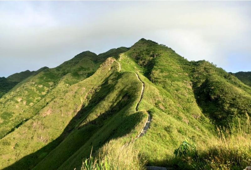 Sống Lưng Khủng Long