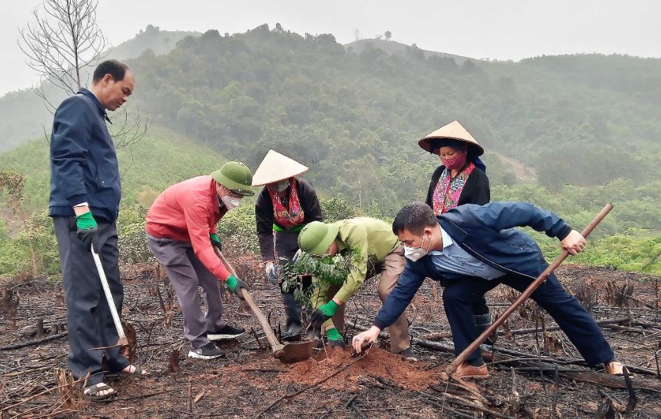 Sau khi lũ lụt xuất hiện bạn hãy trồng và bảo vệ rừng