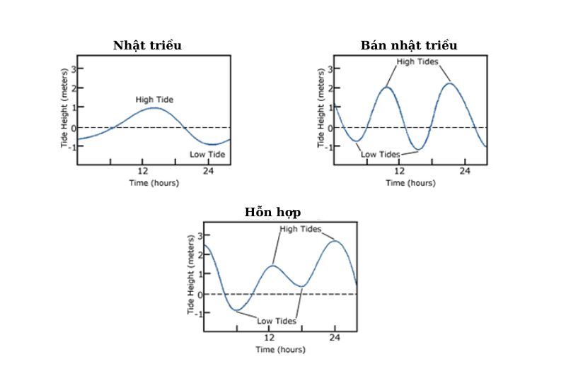 Ba loại thủy triều: Nhật triều, bán nhật triều và thủy triều hỗn hợp