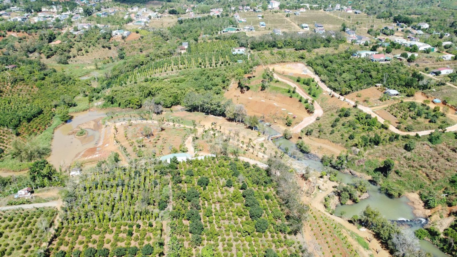 Thời tiết Đắk Lắk thuận lợi để trồng các cây công nghiệp