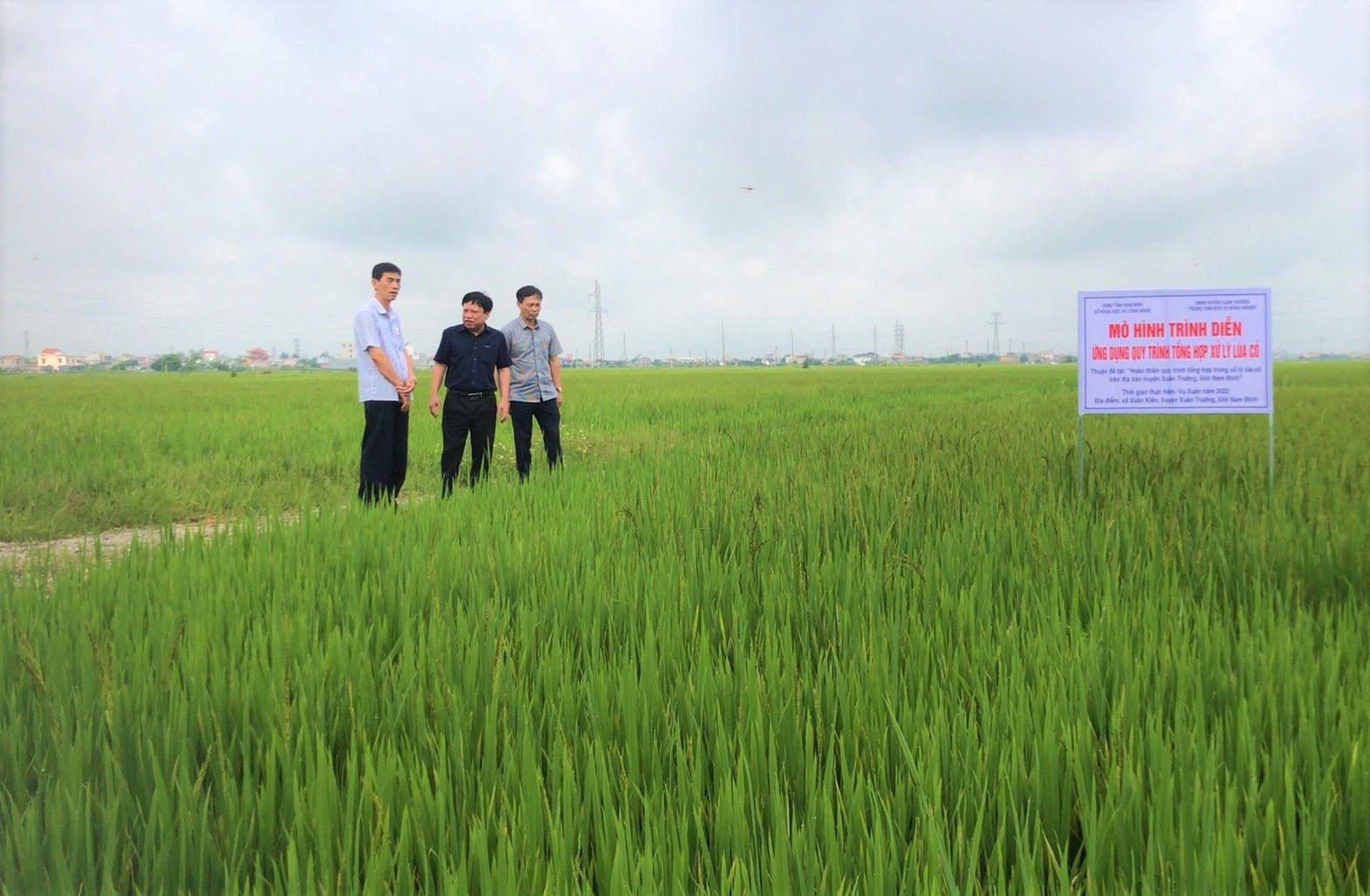 Thời tiết Nam Định phù hợp để phát triển nông nghiệp