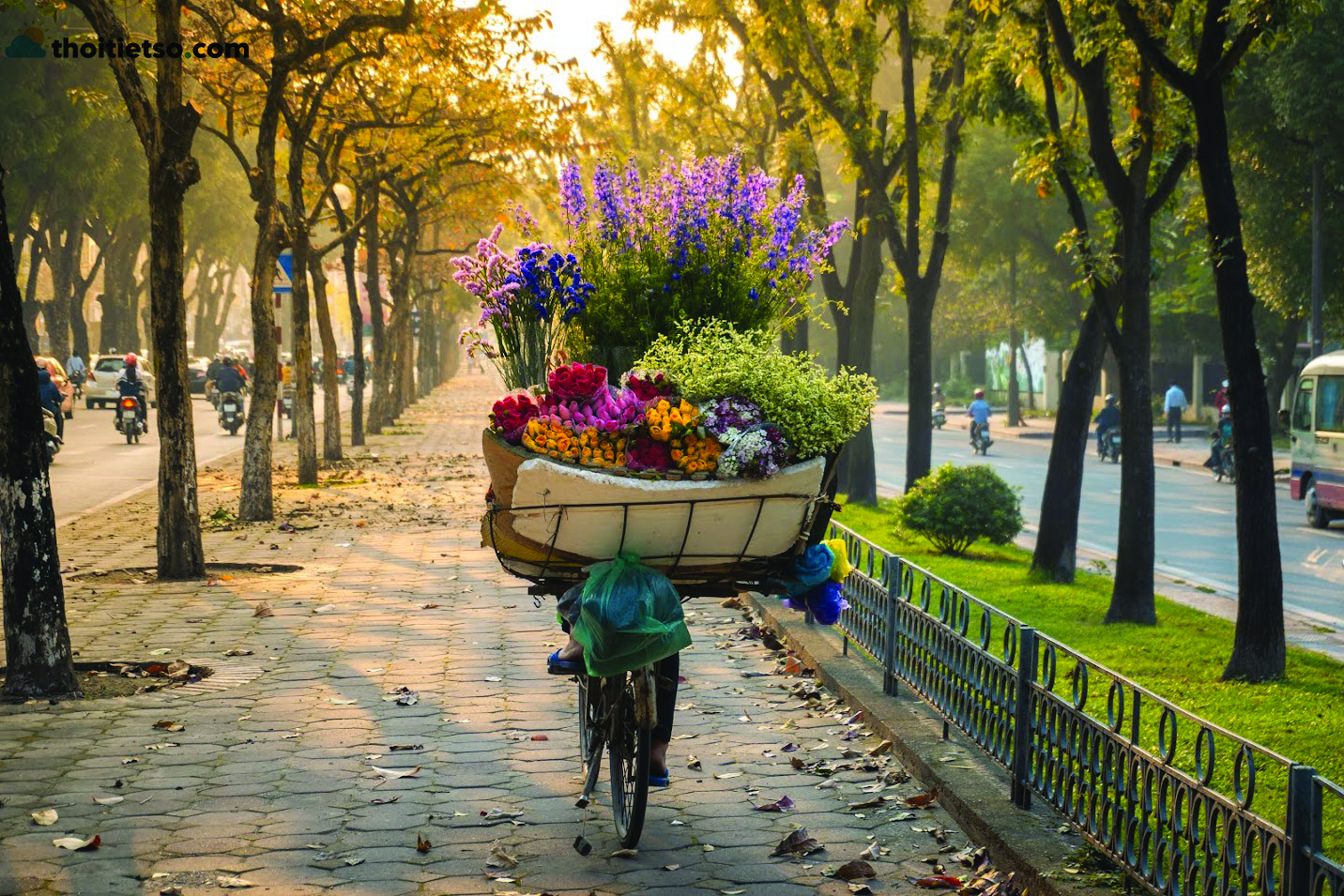 Những ngày qua, các đơn vị trên địa bàn Hà Nội đã lên phương án nhằm phục vụ tốt nhất nhu cầu đi lại, vui Xuân, đón Tết của người dân.