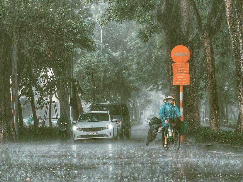 Thời tiết Hà Nội hôm nay 10/1/2024: Hà Nội đổ mưa